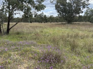 Rural / Farming commercial property sold at 93 Fairford Road Warialda NSW 2402 Rural / Farming commercial property sold at 93 Fairford Road Warialda NSW 2402