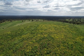 Rural / Farming commercial property for sale at Merriwa NSW 2329