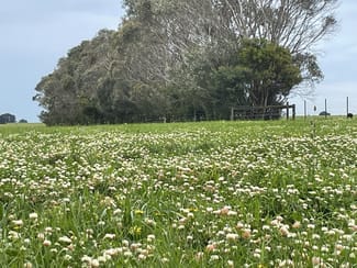 Rural / Farming commercial property for sale at 1050 Spencer Road Tarrone VIC 3283