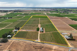 Rural / Farming commercial property for sale at 50 Arnold Coats Road Cobdogla SA 5346 Rural / Farming commercial property for sale at 50 Arnold Coats Road Cobdogla SA 5346