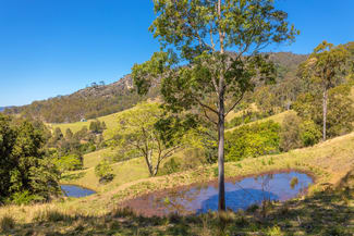 Rural / Farming commercial property for sale at 233 Thunderbolts Way Gloucester NSW 2422 Rural / Farming commercial property for sale at 233 Thunderbolts Way Gloucester NSW 2422