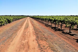 Rural / Farming commercial property sold at 2756 Tapalin Mail Road Euston NSW 2737