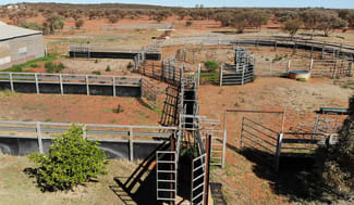 Rural / Farming commercial property for sale at Mount Magnet - Sandstone Road Mount Magnet WA 6638 Rural / Farming commercial property for sale at Mount Magnet - Sandstone Road Mount Magnet WA 6638