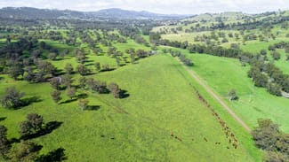 Rural / Farming commercial property sold at 'Kruivale' Alyndale Road Merriwa NSW 2329 Rural / Farming commercial property sold at 'Kruivale' Alyndale Road Merriwa NSW 2329