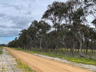 Rural / Farming commercial property sold at Martup Downs, Leggoe Road Beaufort River WA 6394