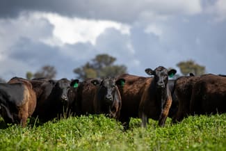 Rural / Farming commercial property sold at 1546 Baldersleigh Road Guyra NSW 2365