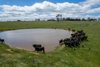 Rural / Farming commercial property sold at 239 Longrail Gully Road Murrumbateman NSW 2582 Rural / Farming commercial property sold at 239 Longrail Gully Road Murrumbateman NSW 2582
