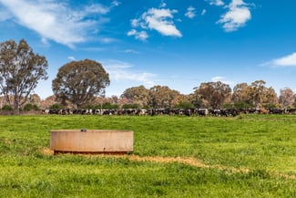 Rural / Farming commercial property for sale at 2217 Henderson Road Girgarre VIC 3624