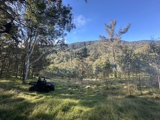 Rural / Farming commercial property sold at 61/1118 Neringla Road Braidwood NSW 2622 Rural / Farming commercial property sold at 61/1118 Neringla Road Braidwood NSW 2622