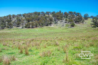 Rural / Farming commercial property for sale at 11, - Ten Mile Rd Deepwater NSW 2371