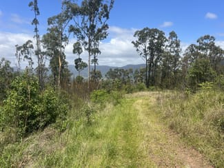 Rural / Farming commercial property for sale at 173 Knodingbul Forest Road Mount George NSW 2424