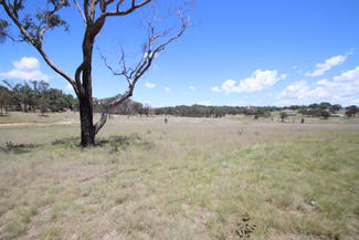 Rural / Farming commercial property sold at 187 Roos Road Tenterfield NSW 2372