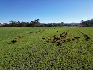 Rural / Farming commercial property sold at 243 Oakfield Road Tansey QLD 4601 Rural / Farming commercial property sold at 243 Oakfield Road Tansey QLD 4601