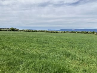 Rural / Farming commercial property sold at 849 Oaks Road Carrick TAS 7291 Rural / Farming commercial property sold at 849 Oaks Road Carrick TAS 7291
