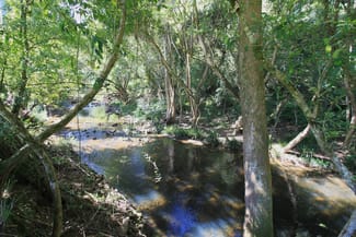 Rural / Farming commercial property sold at Part 1635 Lorne Road Kerewong NSW 2439