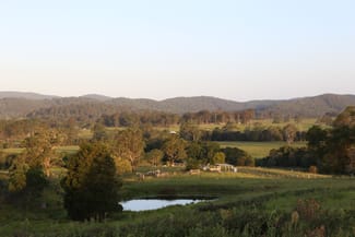 Rural / Farming commercial property for sale at 212A Norries Road Bunyah NSW 2429 Rural / Farming commercial property for sale at 212A Norries Road Bunyah NSW 2429