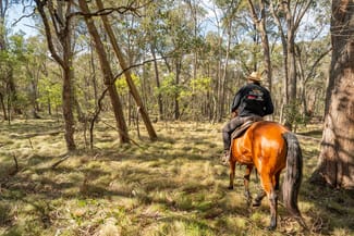 Rural / Farming commercial property for sale at . Firebrace Track Bullioh VIC 3700