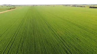 Rural / Farming commercial property sold at Wirrinya NSW 2871 Rural / Farming commercial property sold at Wirrinya NSW 2871