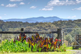 Rural / Farming commercial property sold at Dorrigo NSW 2453 Rural / Farming commercial property sold at Dorrigo NSW 2453
