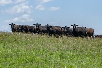 Rural / Farming commercial property sold at 260 Backmede Road Backmede NSW 2470