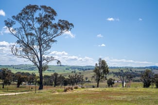Rural / Farming commercial property sold at 1703 Mutton Falls Road O'connell NSW 2795