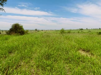 Rural / Farming commercial property sold at Surat QLD 4417