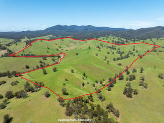 Rural / Farming commercial property sold at 244 Buchan Ensay Road Reedy Flat VIC 3895