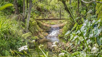 Rural / Farming commercial property for sale at 45 Geles Road Upper Burringbar NSW 2483