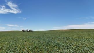 Rural / Farming commercial property sold at 'Cummings' Cudmore Gap Road Jamestown SA 5491