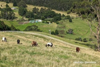 Rural / Farming commercial property for sale at 482 Old Whitelaws Track Devon North VIC 3971 Rural / Farming commercial property for sale at 482 Old Whitelaws Track Devon North VIC 3971