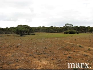 Rural / Farming commercial property sold at Lot 1 W Falkenbergs Road Sedan SA 5353 Rural / Farming commercial property sold at Lot 1 W Falkenbergs Road Sedan SA 5353