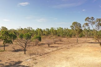 Rural / Farming commercial property sold at Lot 1 Old Dalrymple Road Breddan QLD 4820