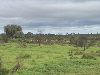 Rural / Farming commercial property for sale at 'Cavenagh' Orroroo-Paratoo Road Cavenagh SA 5422 Rural / Farming commercial property for sale at 'Cavenagh' Orroroo-Paratoo Road Cavenagh SA 5422