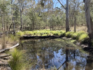Rural / Farming commercial property sold at 1 Hazeldene Road Thanes Creek QLD 4370 Rural / Farming commercial property sold at 1 Hazeldene Road Thanes Creek QLD 4370