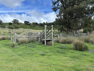 Rural / Farming commercial property sold at Lot 198 Pechey Maclagan Road Groomsville QLD 4352