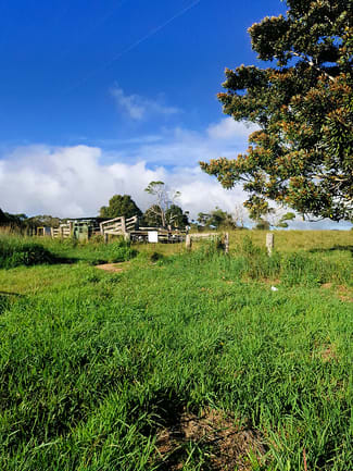 Rural / Farming commercial property for sale at 11551 Kennedy Hwy Evelyn QLD 4888 Rural / Farming commercial property for sale at 11551 Kennedy Hwy Evelyn QLD 4888