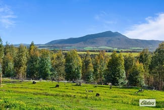 Rural / Farming commercial property sold at Iron Pot Creek Road Mount Cole Creek VIC 3377 Rural / Farming commercial property sold at Iron Pot Creek Road Mount Cole Creek VIC 3377
