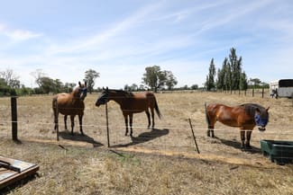 Rural / Farming commercial property sold at Lot 2 Benalla-Tocumwal Road Muckatah VIC 3644 Rural / Farming commercial property sold at Lot 2 Benalla-Tocumwal Road Muckatah VIC 3644