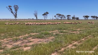 Rural / Farming commercial property sold at . Doodlakine South Road South Doodlakine WA 6411 Rural / Farming commercial property sold at . Doodlakine South Road South Doodlakine WA 6411