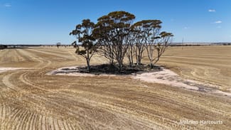 Rural / Farming commercial property sold at 18984 Great Eastern Highway South Doodlakine WA 6411