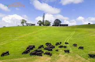 Rural / Farming commercial property sold at Lot 1, 103 Soldier Settlers Road Newee Creek NSW 2447 Rural / Farming commercial property sold at Lot 1, 103 Soldier Settlers Road Newee Creek NSW 2447