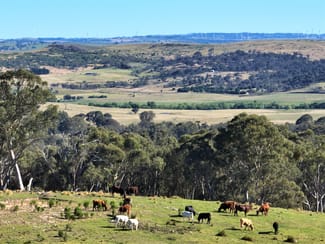 Rural / Farming commercial property sold at 1886 Gurrundah Road Goulburn NSW 2580