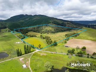 Rural / Farming commercial property sold at Lot 1 South Springfield Road Springfield TAS 7260 Rural / Farming commercial property sold at Lot 1 South Springfield Road Springfield TAS 7260