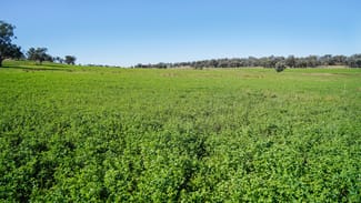 Rural / Farming commercial property sold at 9228 Mitchell Highway Wellington NSW 2820