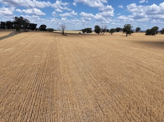 Rural / Farming commercial property for sale at 'Quondi', Dirnaseer Road Combaning NSW 2666
