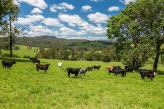 Rural / Farming commercial property for sale at 310 Yessabah Road Yessabah NSW 2440 Rural / Farming commercial property for sale at 310 Yessabah Road Yessabah NSW 2440