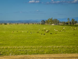 Rural / Farming commercial property sold at 60 Mount Leinster Road Irvingdale QLD 4404 Rural / Farming commercial property sold at 60 Mount Leinster Road Irvingdale QLD 4404
