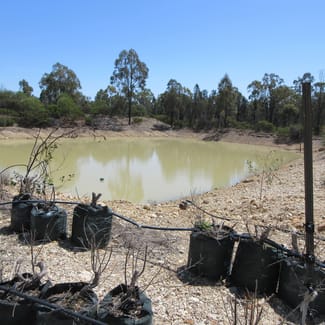 Rural / Farming commercial property sold at 129 Miegunyah Court Tara QLD 4421