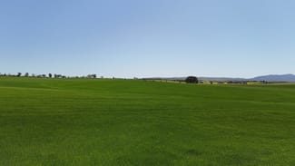 Rural / Farming commercial property for sale at 'Ryans' Archie Road Murray Town SA 5481