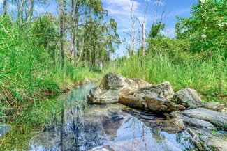 Rural / Farming commercial property sold at 1698 South Arm Road South Arm NSW 2449